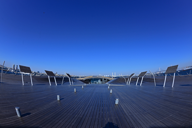 DSC_5102-2.jpg