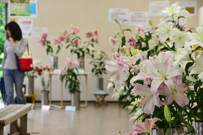 DSC_5114-2.jpg