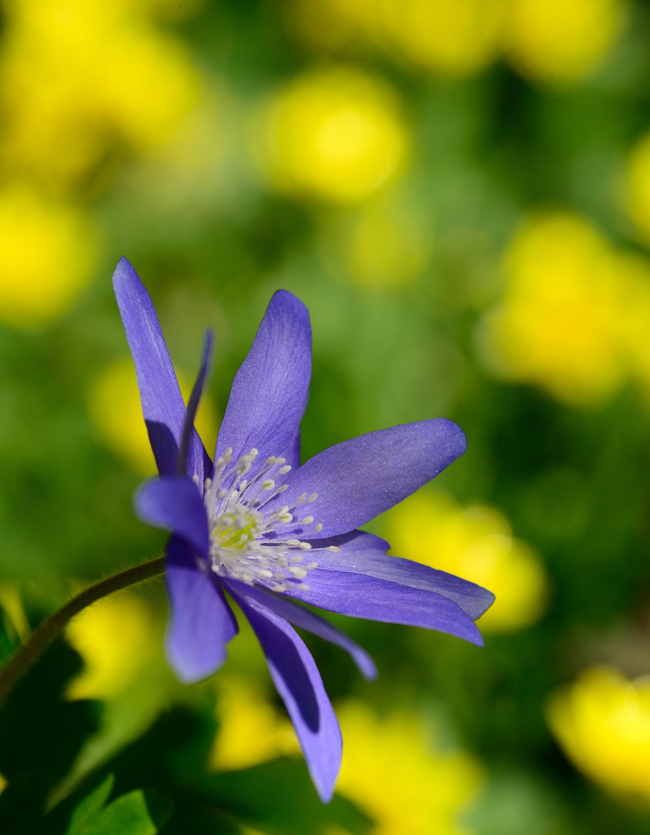 DSC_5115-2.jpg