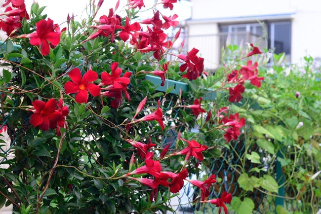 DSC_5120-2.jpg
