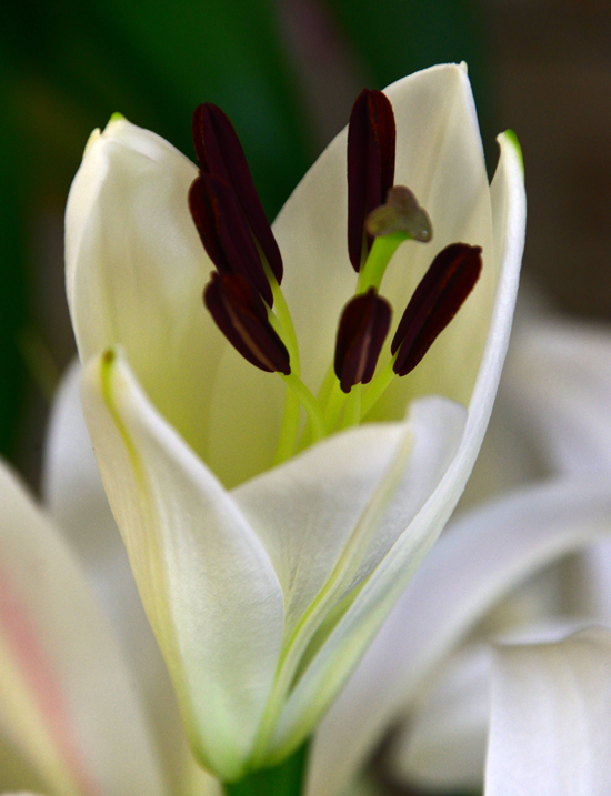 DSC_5121-2.jpg
