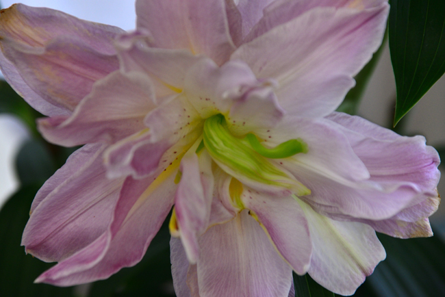 DSC_5125-2.jpg
