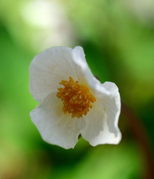 DSC_5128-2.jpg