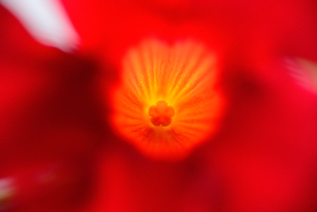 DSC_5154-2.jpg