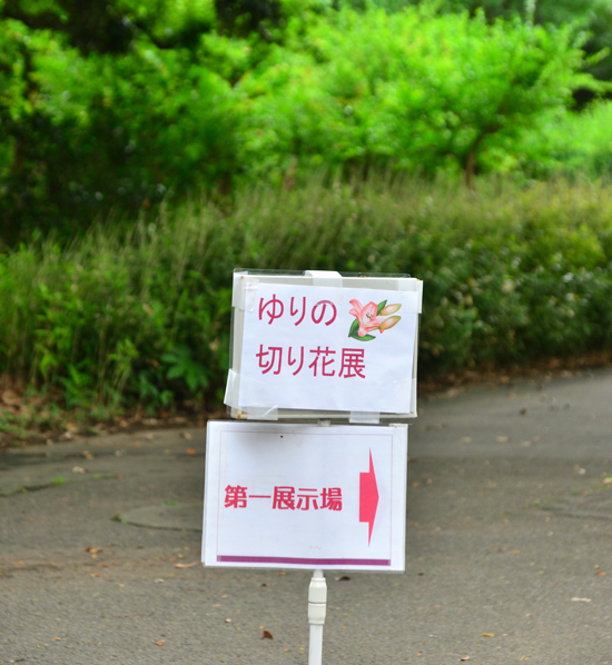 DSC_5155-2.jpg
