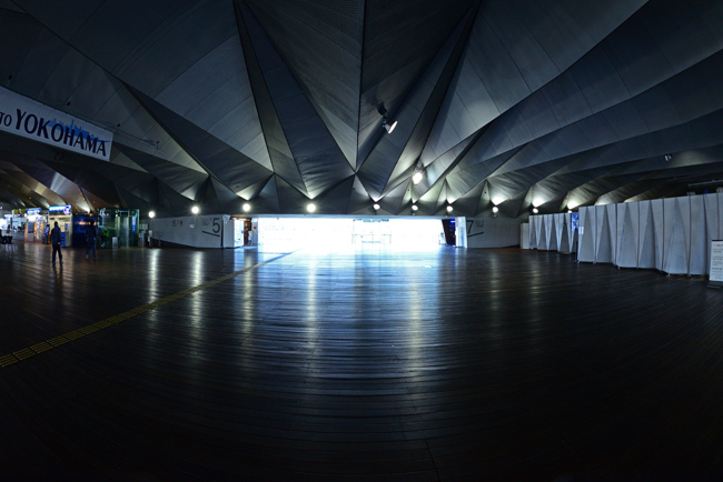 DSC_5156-2.jpg
