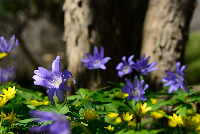 DSC_5164-2.jpg