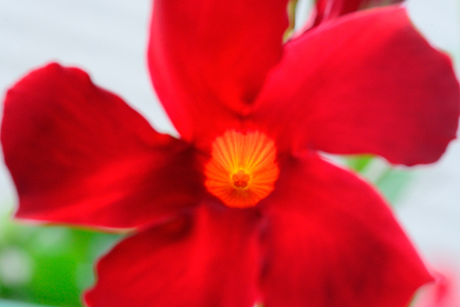 DSC_5165-2.jpg