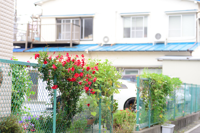 DSC_5191-2.jpg