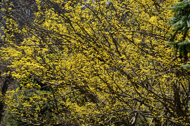 DSC_5269-2.jpg