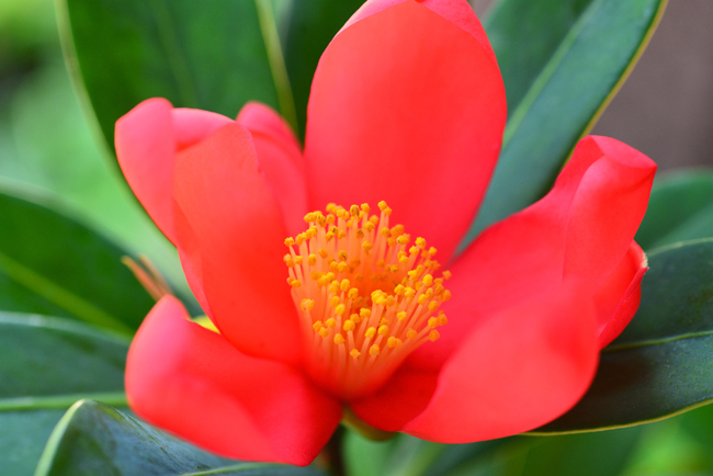 DSC_5279-2.jpg