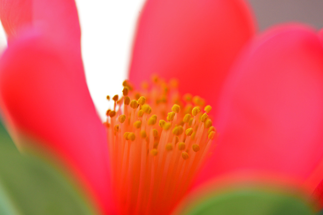 DSC_5288-2.jpg