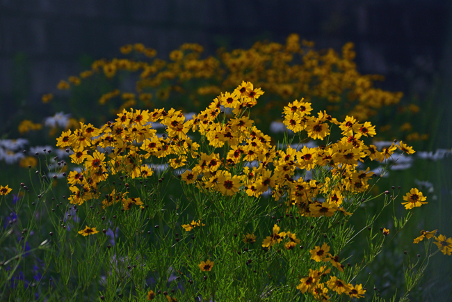 DSC_5328-2.jpg