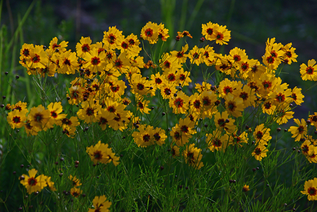 DSC_5332-2.jpg