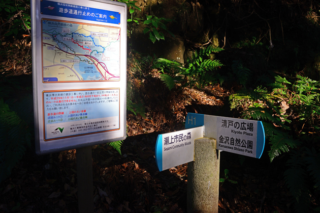 DSC_5335-2.jpg