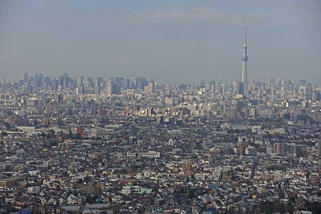 DSC_5337-3.jpg