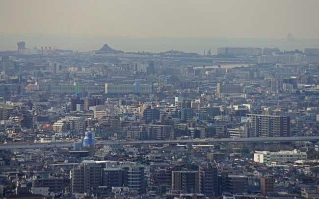DSC_5339-3.jpg