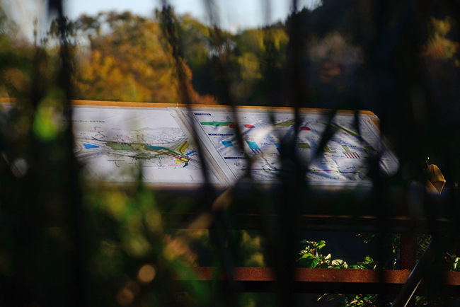DSC_5341-2.jpg