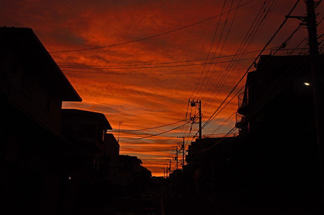 DSC_5354-2.jpg