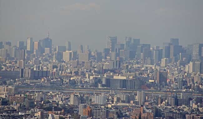 DSC_5358-3.jpg