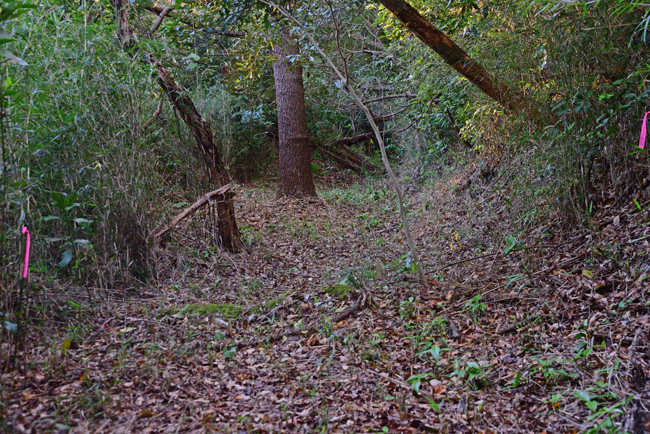 DSC_5363-2.jpg