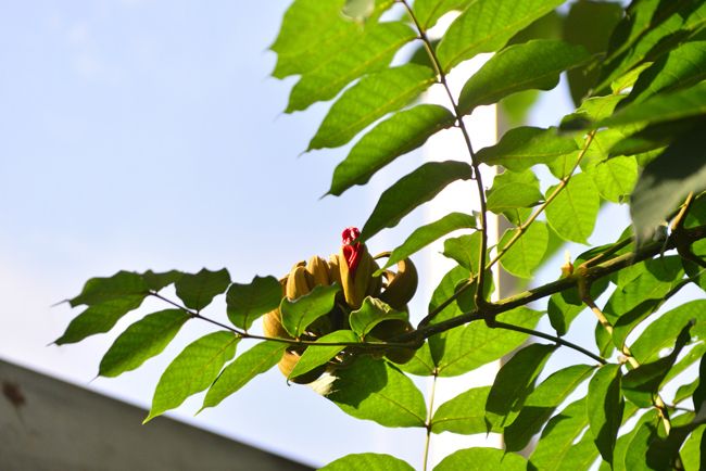 DSC_5447-2.jpg