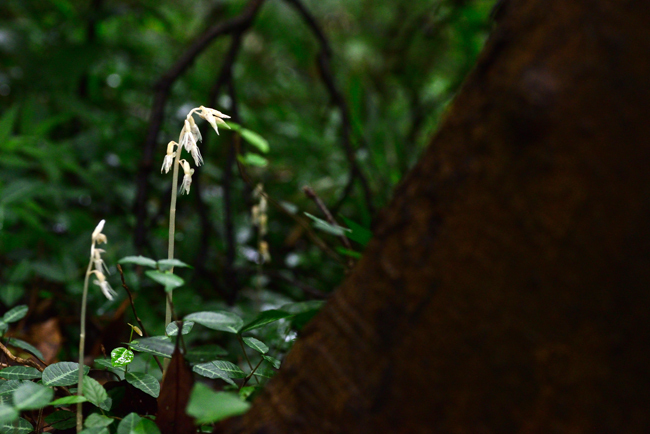 DSC_5591-2.jpg