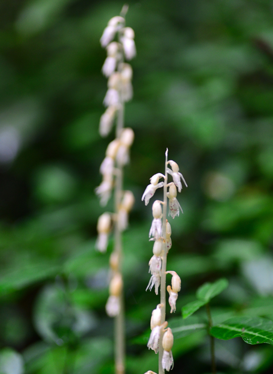 DSC_5611-2.jpg