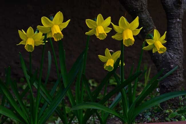 DSC_5658-3.jpg