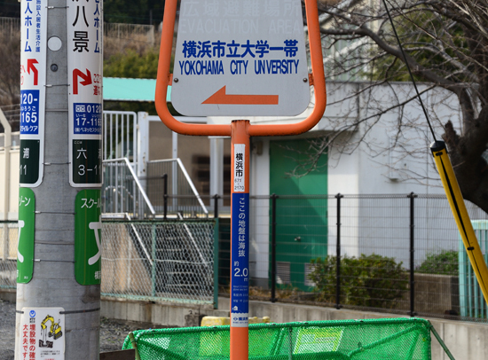 DSC_5957-2.jpg