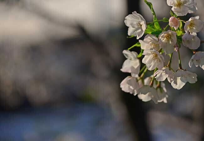 DSC_6029-3.jpg
