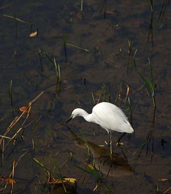 DSC_6178-2.jpg