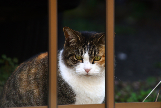 DSC_6215-2.jpg