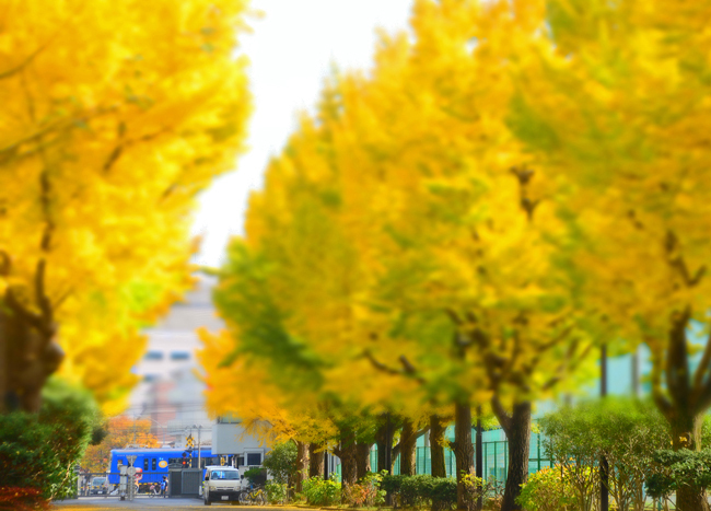 DSC_6227-2.jpg