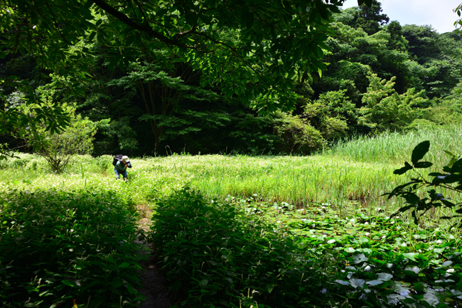 DSC_6246-2.jpg