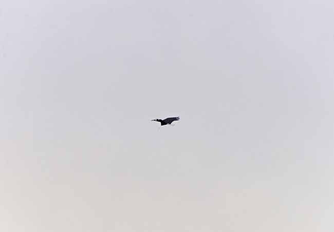 DSC_6277-2.jpg