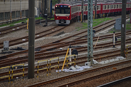 DSC_6347-2.jpg