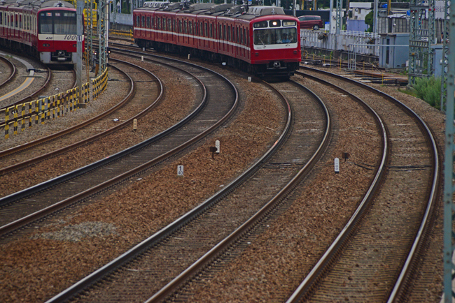 DSC_6350-2.jpg
