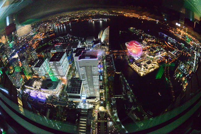 DSC_6351-2.jpg