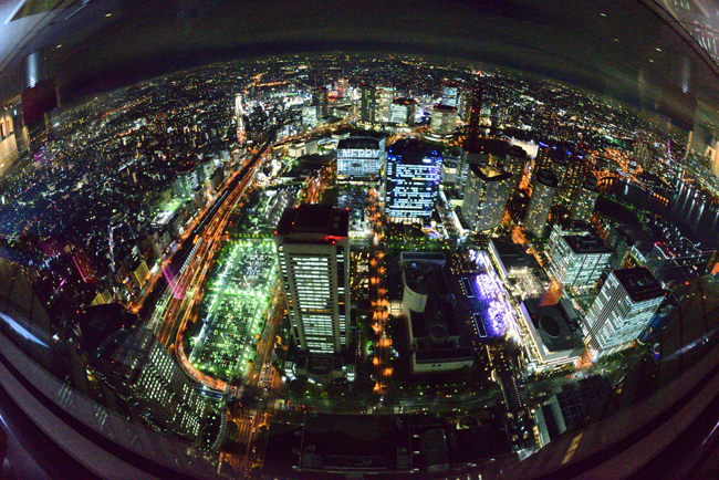 DSC_6356-2.jpg