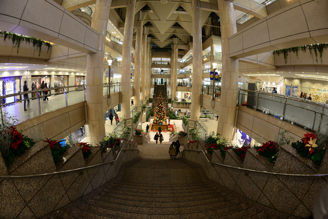 DSC_6360-2.jpg