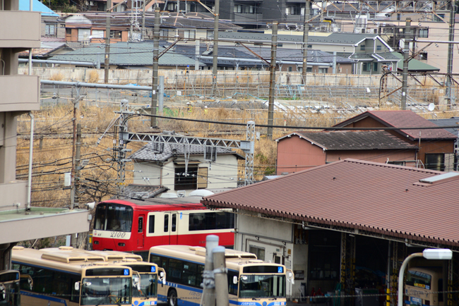 DSC_6458-2.jpg