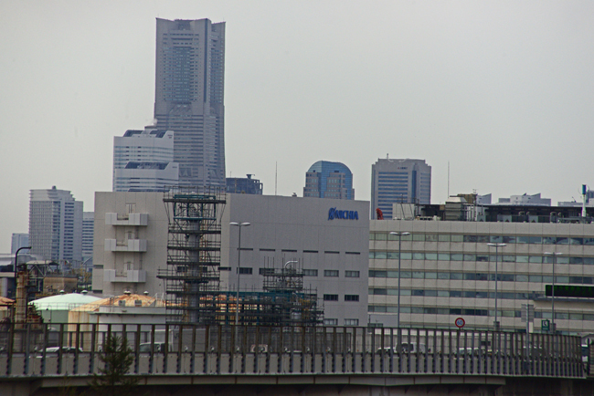 DSC_6497-2.jpg