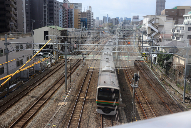 DSC_6524-2.jpg
