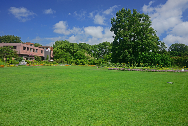 DSC_6671-2.jpg