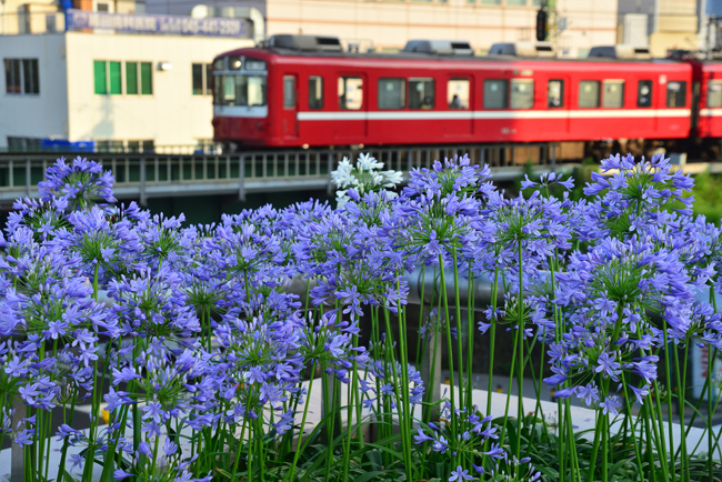 DSC_6693-2.jpg