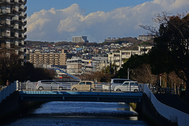 DSC_6749-2.jpg