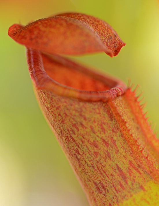 DSC_6763-2.jpg