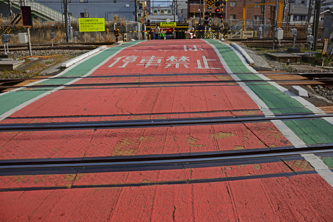 DSC_6772-2.jpg