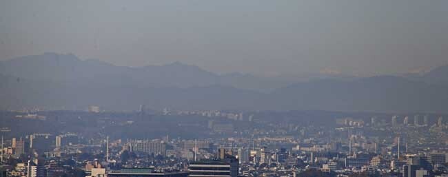 DSC_6774-2.jpg